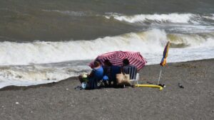 SAKARYA/KOCAELİ/DÜZCE (AA) – Kocaeli'nin Kandıra, Sakarya'nın Kocaali, Kaynarca ve Karasu