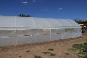 EDİRNE (AA) – Edirne'de Valilik desteğiyle hayata geçirilen proje kapsamında