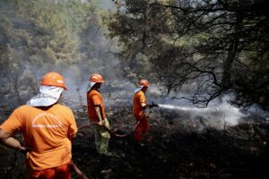 MUĞLA (AA) – Muğla'nın Fethiye ilçesinde ormanlık alanda çıkan yangın