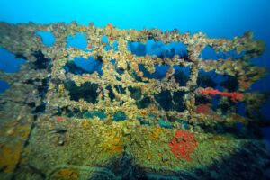 HATAY (AA) – İskenderun Körfezi açıklarında, 2004 yılında taşıdığı yükle