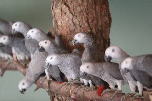 GAZİANTEP (AA) – İstanbul Havalimanı'nın kargo bölümünde evrakı olmadığı tespit