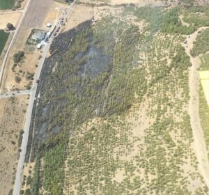 İZMİR (AA) – İzmir'in Bergama ilçesinde çıkan orman yangını, havadan