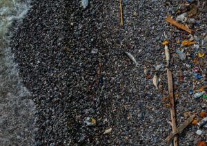 İZMİR (AA) – İzmir Körfezi'ndeki kirlilik nedeniyle balık avlanmaması konusunda