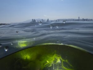 İZMİR (AA) – TEZCAN EKİZLER – İzmir Katip Çelebi Üniversitesi