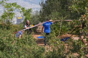 İZMİR (AA) – İzmir'de 4 çocuğundan 3'ünü silahla öldürüp birini