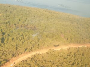 İZMİR (AA) – İzmir'in Urla ilçesinde ormanlık alanda çıkan yangın,