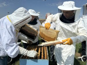 ARDAHAN (AA) – Türk Patent ve Marka Kurumunca coğrafi işaretle