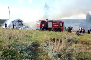 KARS (AA) – Kars'ın Sarıkamış ilçesinde, bir evin bahçesinde bulunan