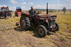 İSTANBUL (AA) – Kayseri Valiliği ve Migros, Yerli Yeşil Mercimek