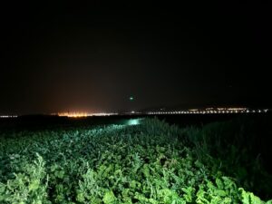 KONYA (AA) – Konya'nın Karapınar ilçesine bağlı Seyit Hacı Yaylası