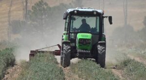 BURDUR (AA) – BİLAL ALTIOK – İlkbahar ve haziran döneminde