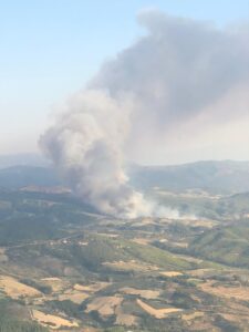 MANİSA (AA) – Manisa'nın Gördes ilçesinde dün çıkan orman yangınına