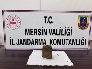 MERSİN (AA) – Mersin'de tarihi eser niteliği taşıdığı değerlendirilen 147