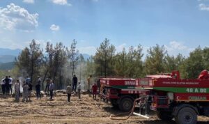 - Bir hektar ormanlık alan zarar gördü