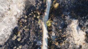 MUĞLA (AA) – Muğla'nın Milas ilçesinde çıkan orman yangını kara