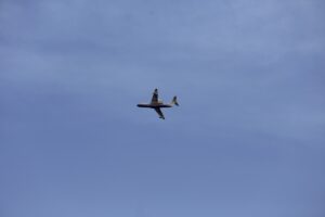 MUĞLA (AA) – Muğla'nın Yatağan ve Ula ilçelerindeki ormanlık alanda