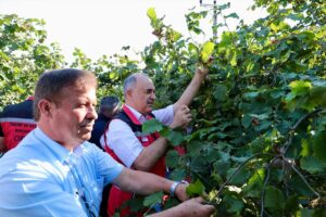 ORDU (AA) – Ticaret Bakanlığı Doğu Karadeniz Bölge Müdürlüğünce oluşturulan