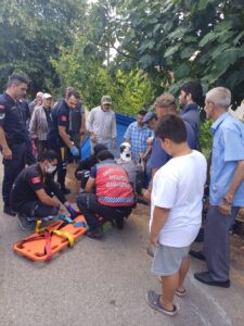 SAKARYA (AA) – Sakarya'nın Ferizli ilçesinde "pat pat" diye tabir