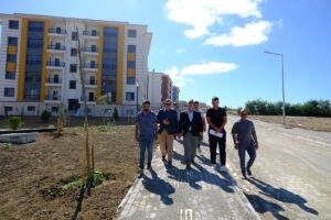 SİNOP (AA) – Toplu Konut İdaresi Başkanlığınca (TOKİ) Sinop’ta inşa