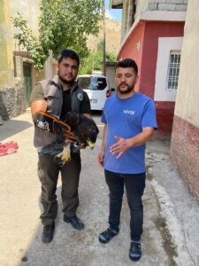 ŞIRNAK (AA) – Şırnak'ın Uludere ilçesinde bitkin halde bulunan kaya