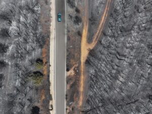 AYDIN (AA) – FERDİ UZUN – İzmir, Aydın, Manisa ve