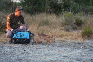 İZMİR (AA) – İzmir Doğal Yaşam Parkı Şube Müdürü Serkan