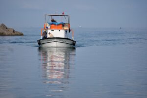 DÜZCE (AA) – Düzce'nin Akçakoca ilçesinde balıkçılar limana bol miktarda