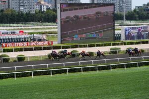 İSTANBUL (AA) – At yarışı sektörünü büyütmek ve kullanıcılara daha