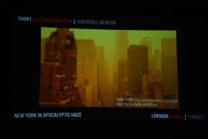 - AA'nın Gazze'deki foto muhabirlerinden Ali Jadallah'ın "Irreplaceable" başlıklı karesi,