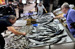 SİNOP (AA) – Türkiye'nin önemli balıkçılık kentleri arasında yer alan