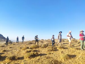 BATMAN (AA) – Batman'ın Sason ilçesinde dağcılar Mereto Dağı'na tırmanış