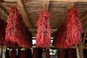 BİLECİK (AA) – Bilecik'in merkeze bağlı Çukurören köyünde yetiştirilen ve