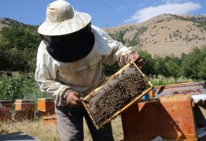 BİTLİS (AA) – ŞENER TOKTAŞ – Bitlis'in Hizan ilçesinde 3