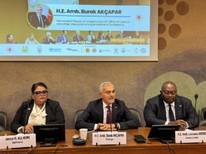 CENEVRE (AA) – Türkiye'nin ana sunucusu olduğu ve Birleşmiş Milletler