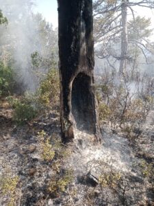 BURDUR (AA) – Burdur'un Çeltikçi ilçesinde çıkan orman yangını, ekiplerin