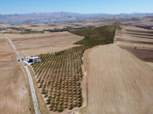 ELAZIĞ (AA) – Elazığ'da yaklaşık 32 bin dekar alanda bulunan
