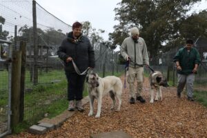 CAPE TOWN (AA) – MURAT ÖZGÜR GÜVENDİK – Güney Afrika