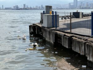 İZMİR (AA) – İzmir'de dün etkili olan sağanağın ardından körfezde