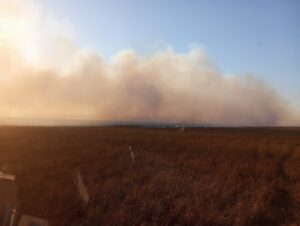 KAYSERİ (AA) – Kayseri'de "kesin korunacak hassas alan" ilan edilen