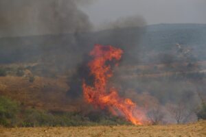 - İtfaiye araçlarının giremediği bölgeye polis ekipleri bidonlarla su taşıdı