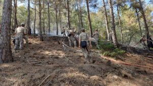 SAMSUN (AA) – Ondokuz Mayıs Üniversitesi (OMÜ) kampüsündeki ormanlık alanda