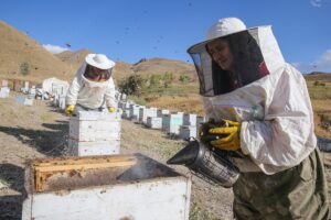 HAKKARİ (AA) – SAYİM HARMANCI – Ordulu Şinasi ve Cevriye