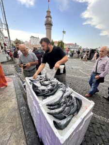 SAMSUN (AA) – Samsun'da denizlerde avın başlamasıyla tezgahlarda yerini alan