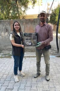 ŞIRNAK (AA) – Şırnak'ta arazide yaralı ve bitkin halde bulunan