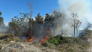 ADANA (AA) – Adana'nın Ceyhan ilçesinde çalılıkta başlayıp tarım alanına