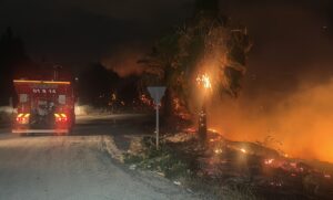 ADANA (AA) – Adana'nın merkez Sarıçam ilçesinde çıkan orman yangını