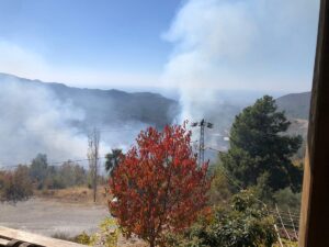 ANTALYA (AA) – Antalya'nın Alanya ilçesinde zirai alanda çıkan yangın,