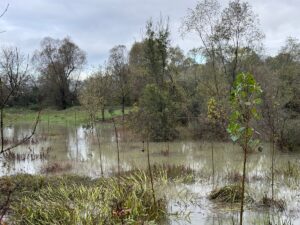 BARTIN (AA) – Bartın'da üç gündür aralıklarla devam eden sağanak,