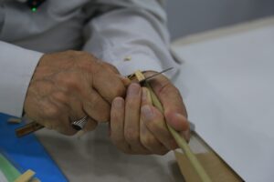 BATMAN (AA) – Batman'da yaşayan emekli öğretmen Hilmi Beyca, İstanbul'da