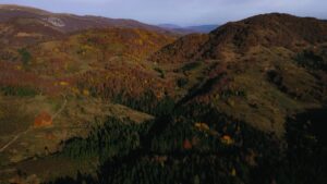 SARAYBOSNA (AA) – Bosna Hersek'teki Hersek-Neretva Kantonu'nda, sonbaharın gelmesiyle sarı,